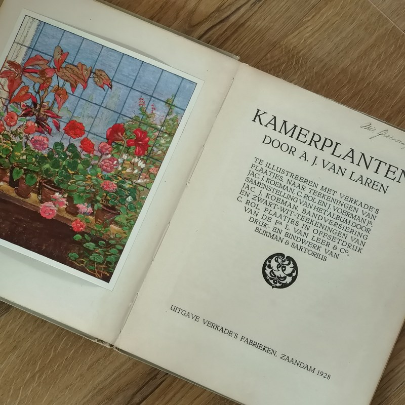 Zoeken Turbulentie Bron Vintage boek / plaatjesalbum Kamerplanten Verkade A.J. Van Laren -  Bij-Ma-Ria | vintage en retro winkel