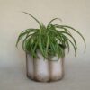 Vintage bloempot Scheurich W.Germany 932-16 crème/bruin 8-kantig - Afbeelding 4