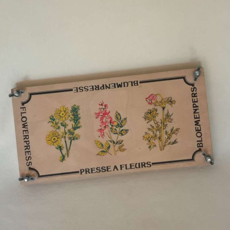 Small Foot - Houten Bloemenpers, 18x18cm online ... | Lobbes Speelgoed