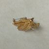 Vintage broche goudkleurig filigraan faux parels - Afbeelding 2